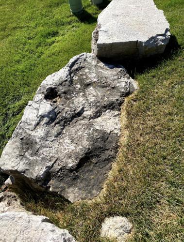 Before- Large Decorative Rocks