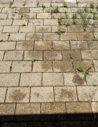 Before- Brick Patio