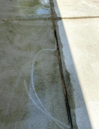 Before- Concrete Cleaning