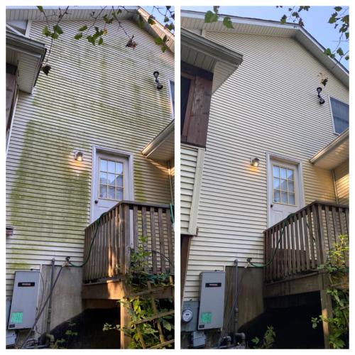 Before & After- House